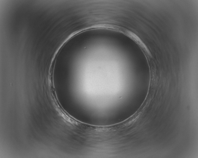 X0000082930908200702152144