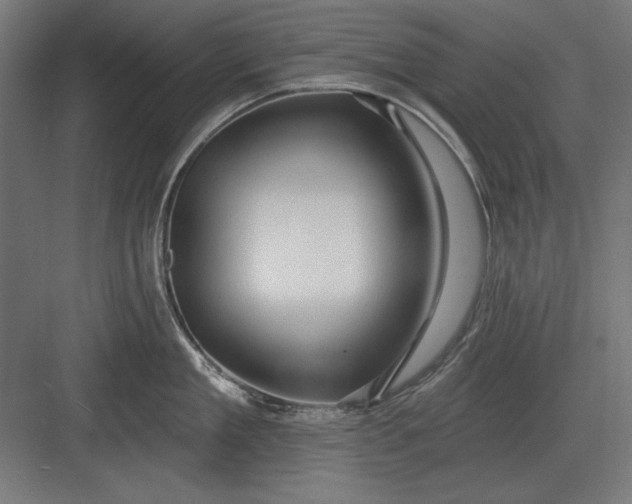 X0000082930909200702152144