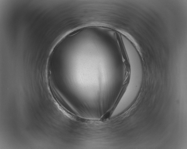 X0000082930910200702152144