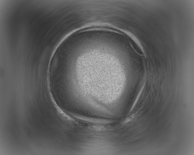 X0000082930911200702152144