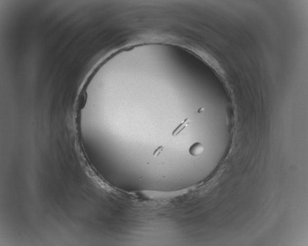 X0000082930912200702152144