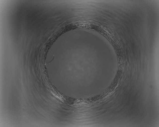 X0000082930913200702152143