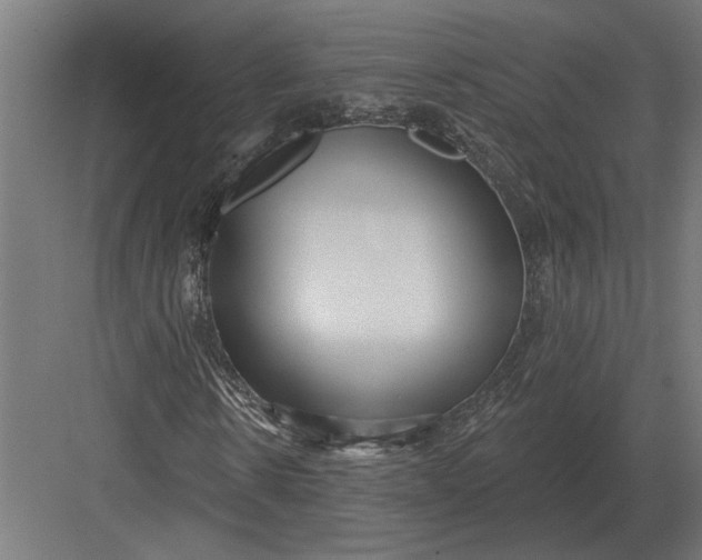 X0000082930914200702152143