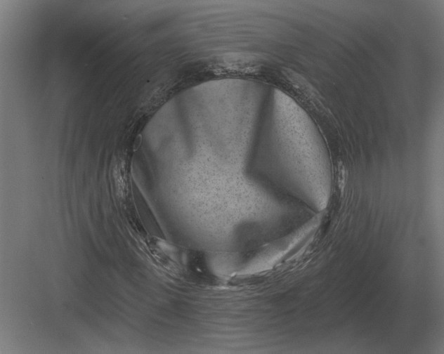 X0000082930915200702152143