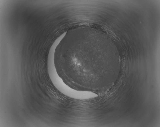 X0000082930916200702152143