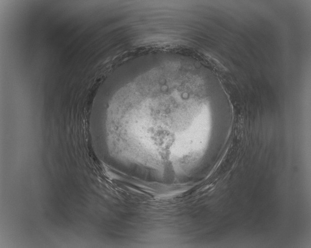 X0000082930917200702152143