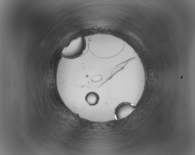 X0000082930918200702152143