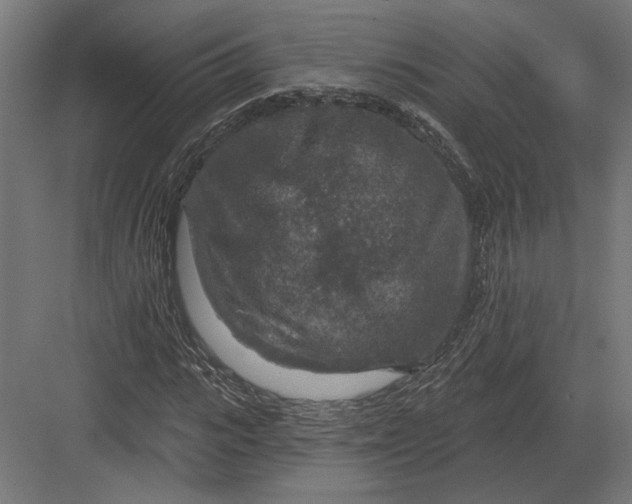 X0000082930919200702152143