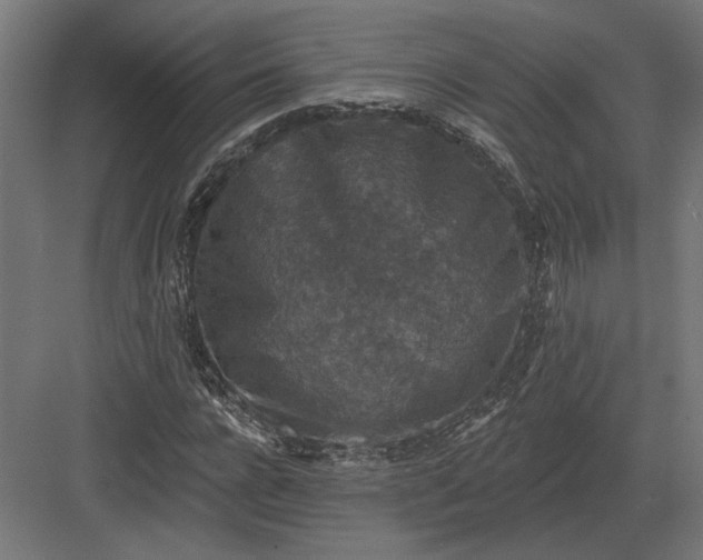 X0000082930920200702152143