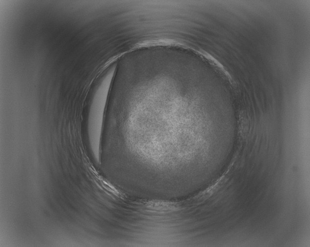 X0000082930921200702152143