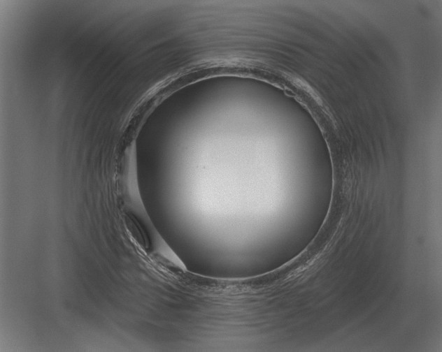 X0000082930922200702152143