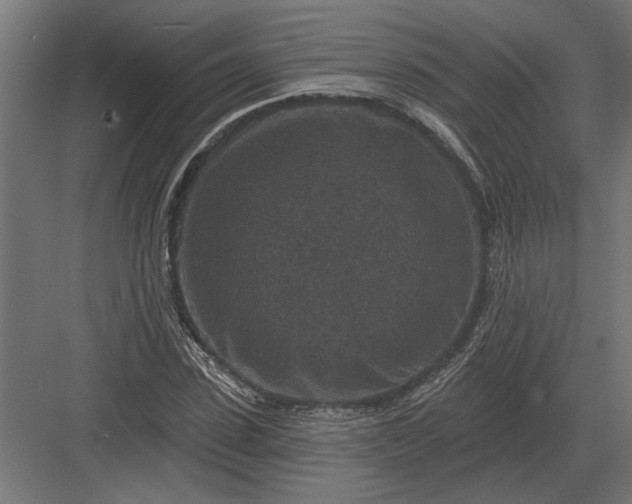 X0000082930923200702152143