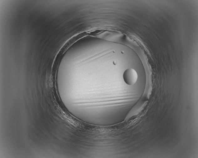 X0000082930924200702152143