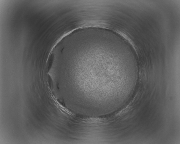 X0000082930925200702152143