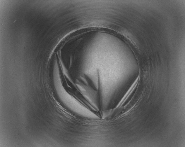 X0000082930926200702152143