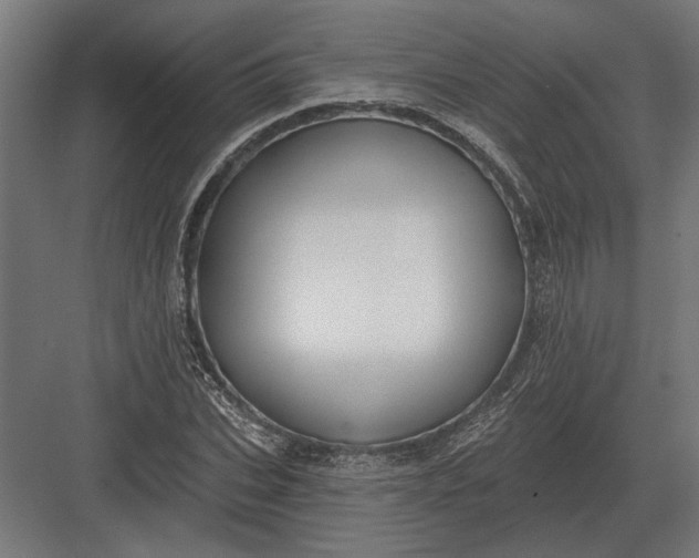 X0000082930927200702152143