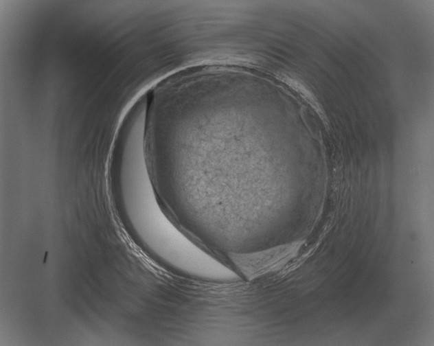 X0000082930928200702152143