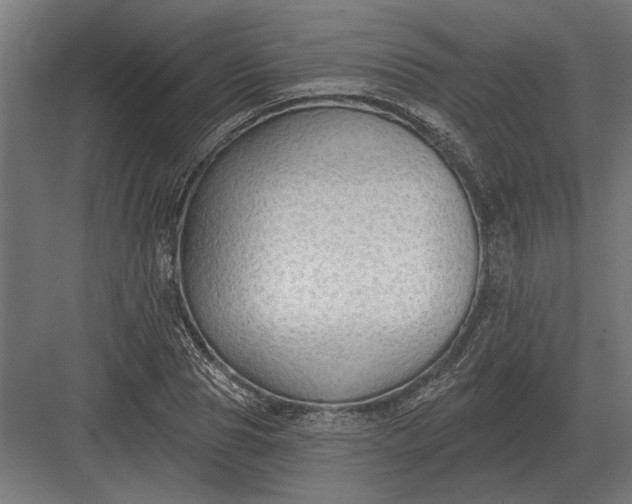 X0000082930929200702152143