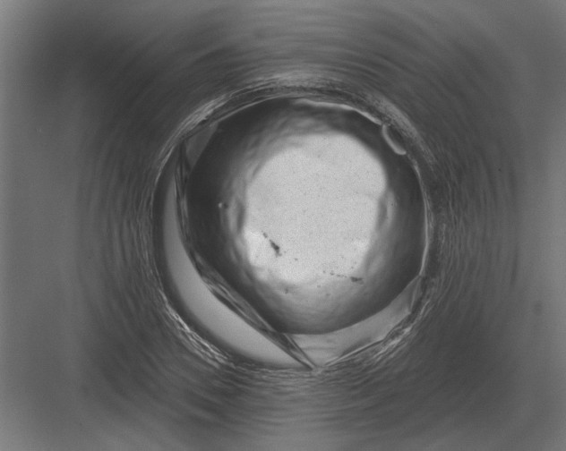 X0000082930930200702152143