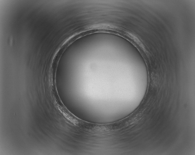 X0000082930931200702152143