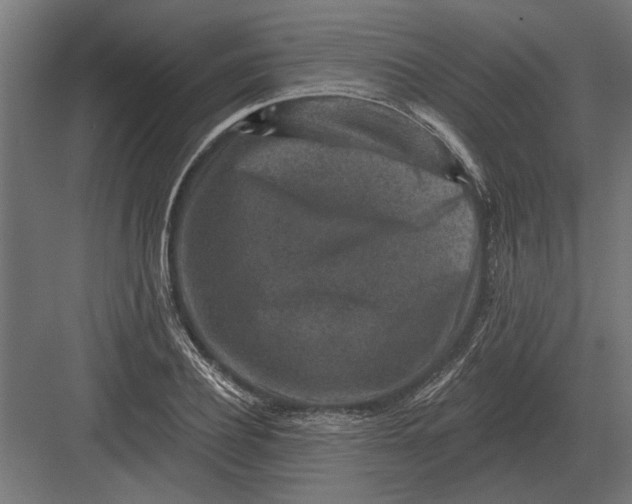 X0000082930932200702152143