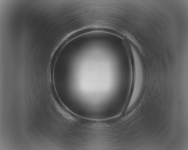 X0000082930934200702152144