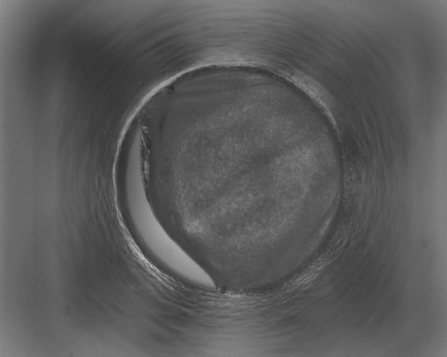 X0000082930935200702152144