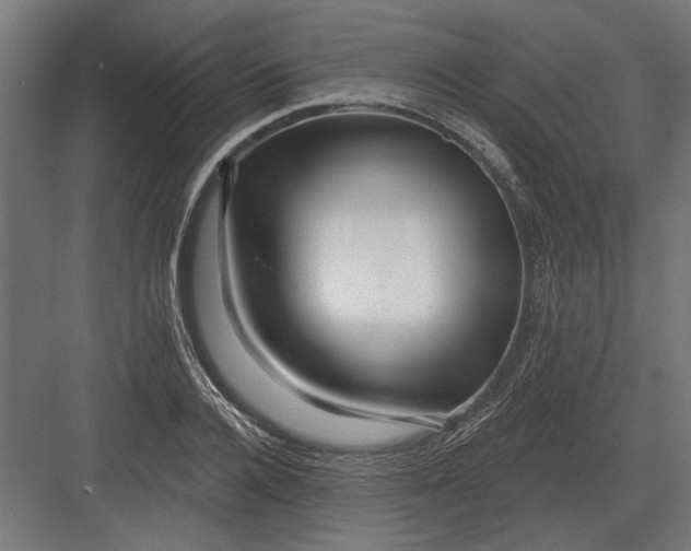 X0000082930936200702152144