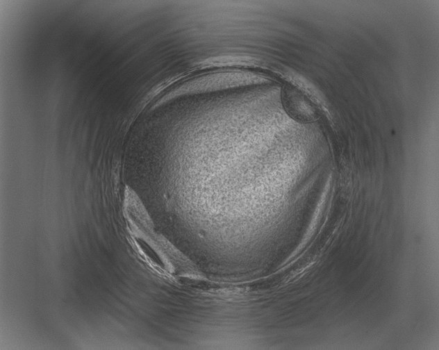 X0000082930937200702152144