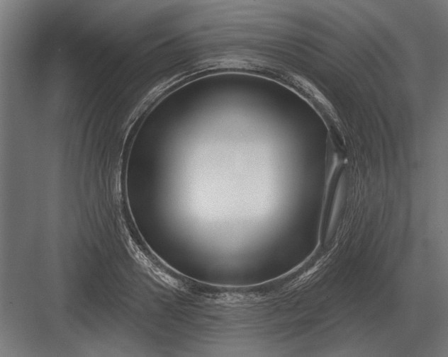 X0000082930938200702152144