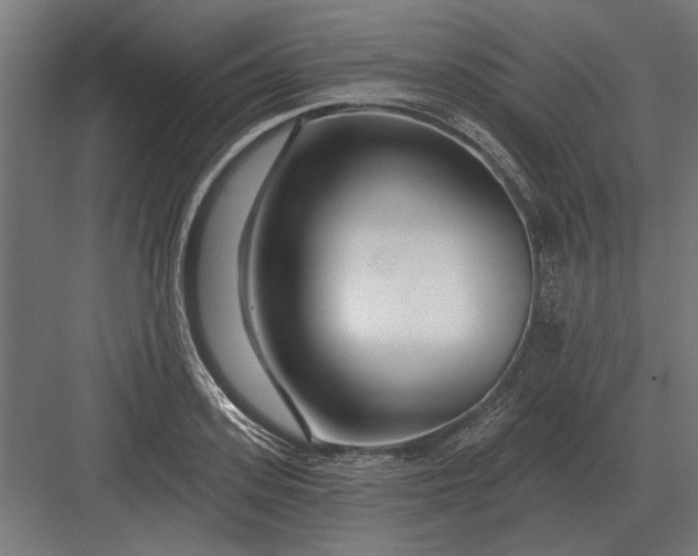 X0000082930939200702152144