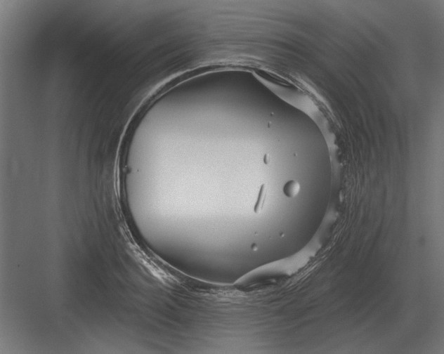 X0000082930940200702152144