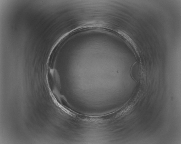 X0000082930941200702152144