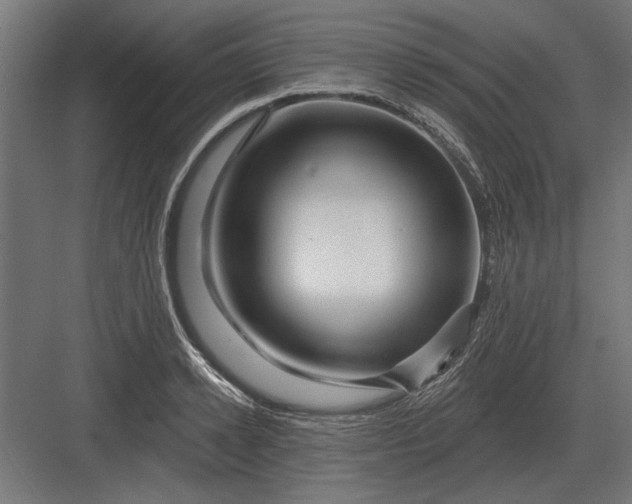 X0000082930942200702152144