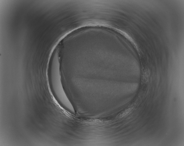 X0000082930943200702152144