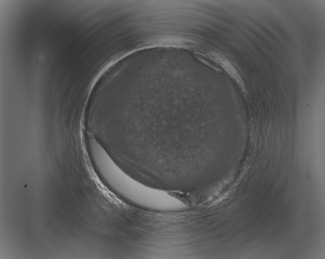 X0000082930944200702152144