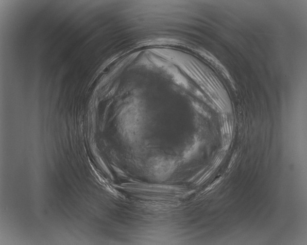 X0000082930945200702152144