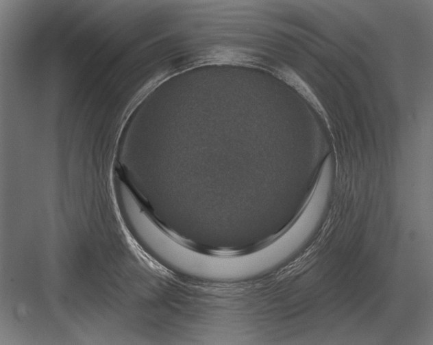 X0000082930946200702152144