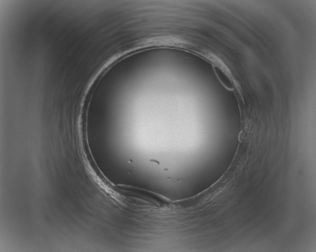 X0000082930947200702152144