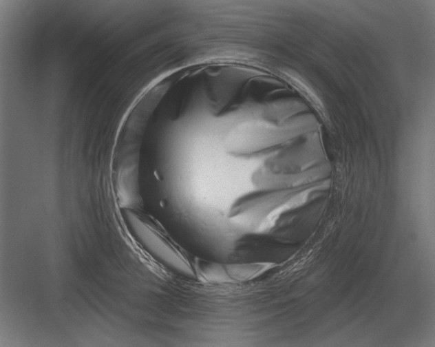 X0000082930948200702152144