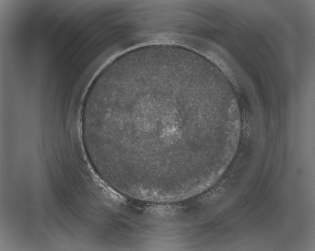 X0000082930950200702152144