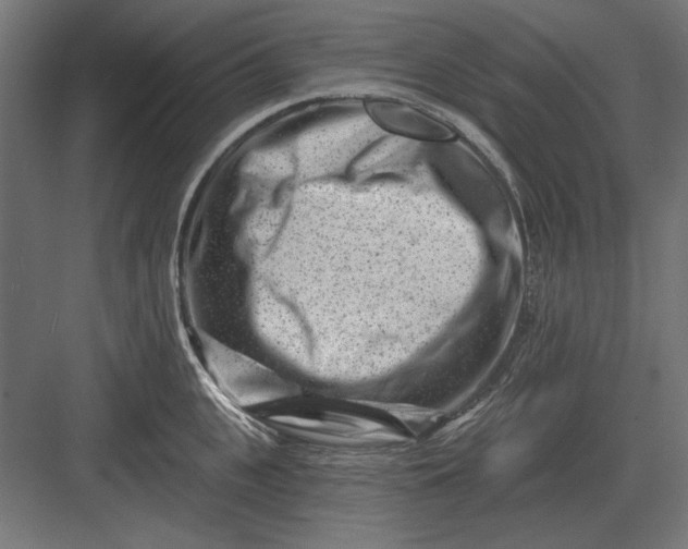 X0000082930951200702152144