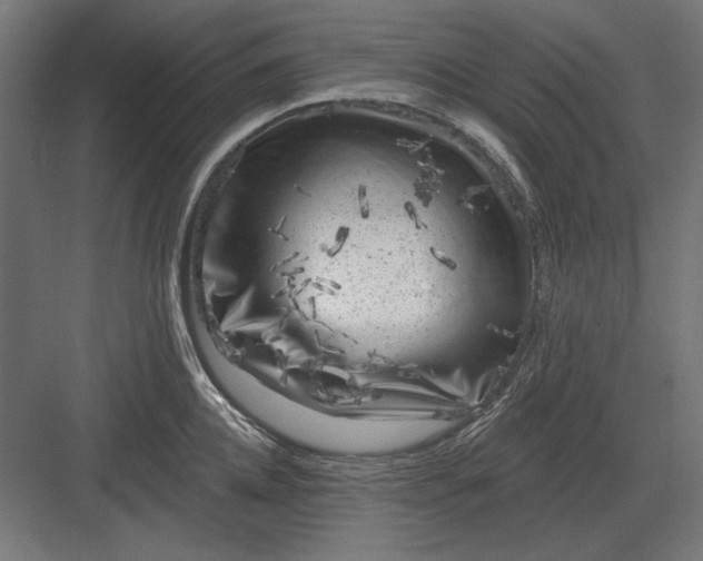 X0000082930952200702152144