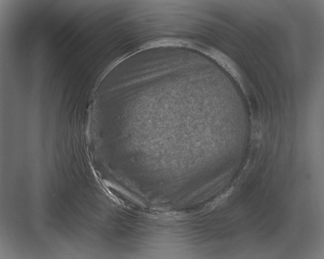 X0000082930953200702152144