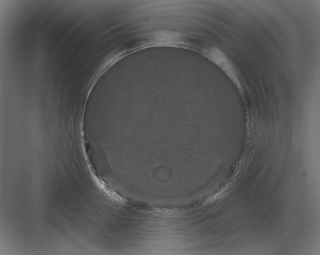 X0000082930954200702152144