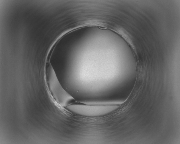 X0000082930955200702152144