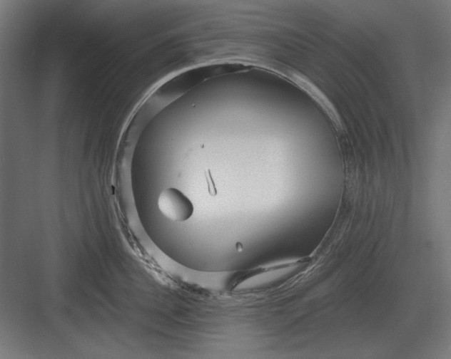 X0000082930956200702152144