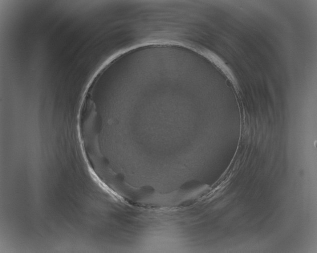 X0000082930958200702152144