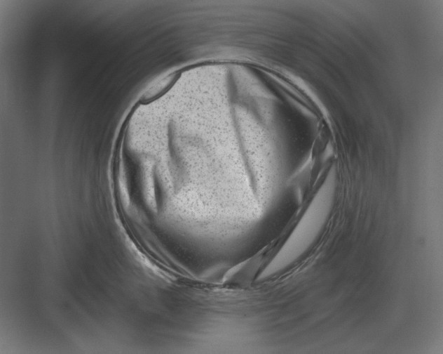 X0000082930959200702152144