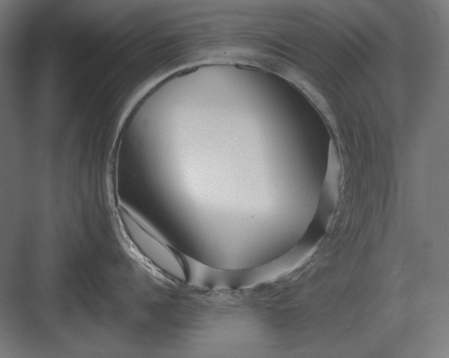 X0000082930960200702152144